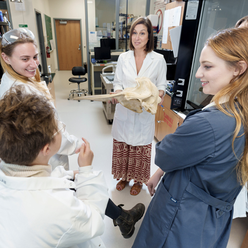 Group discusses fossils in lab