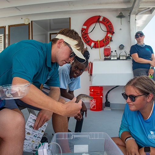 Person showing species of aquatic life on a boat to others.