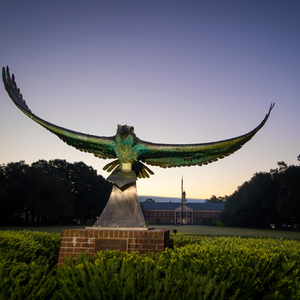 Seahawk Statue at the front of campus 