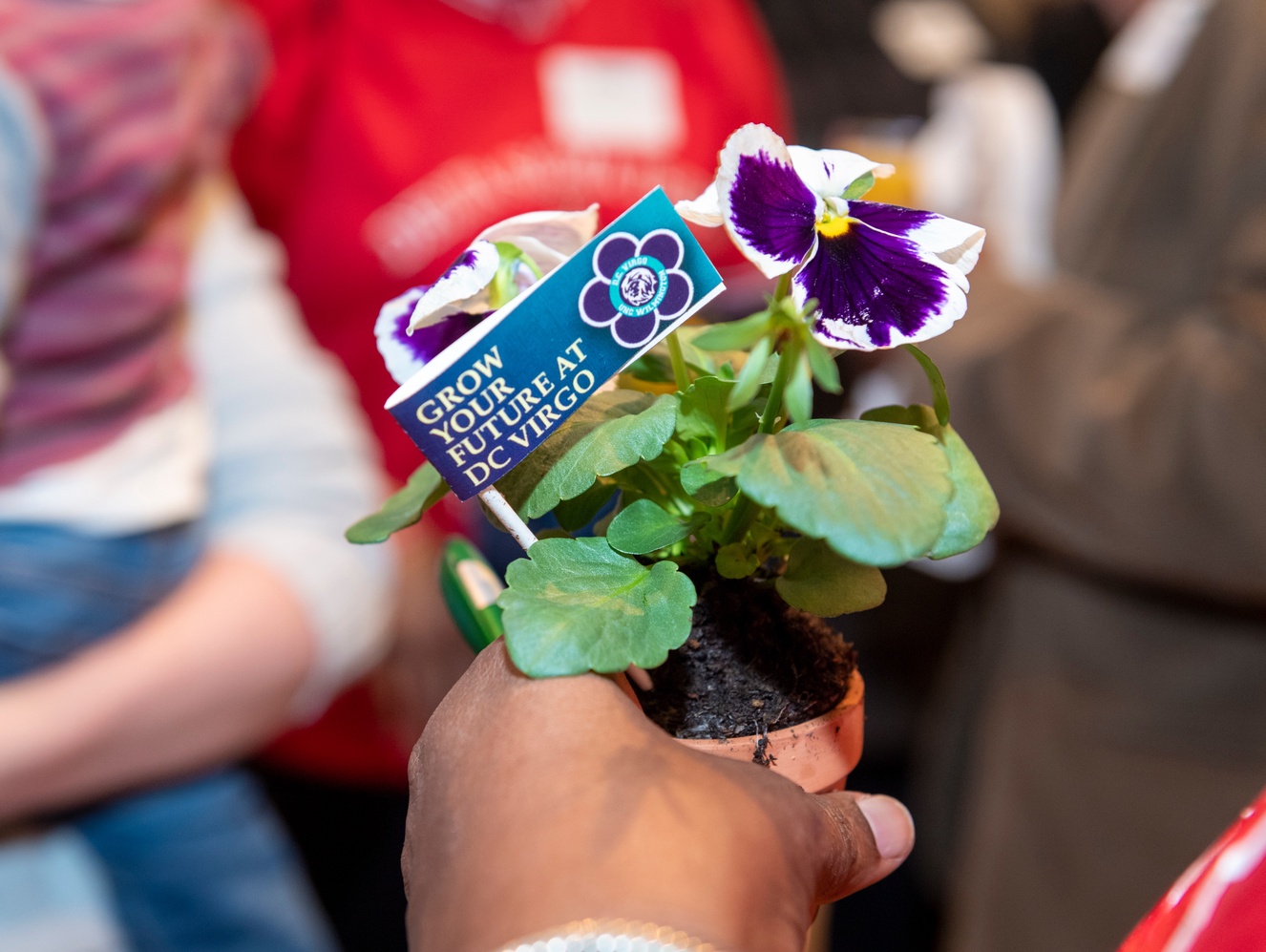 Potted pansy with banner, Grow your future at DC Virgo