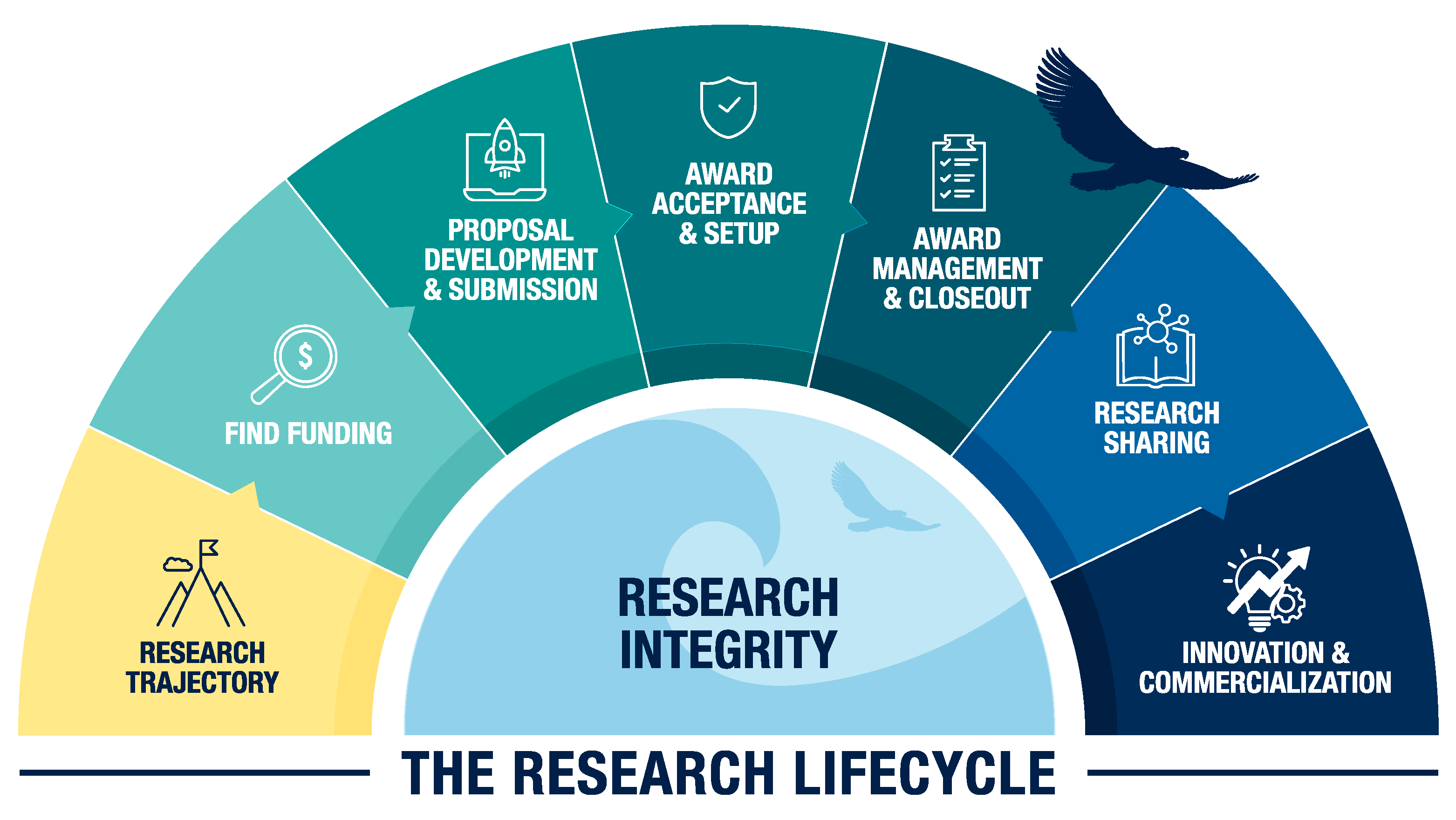 Research Lifecycle Graphic-No Acronyms_RGB-WEB-Large.png