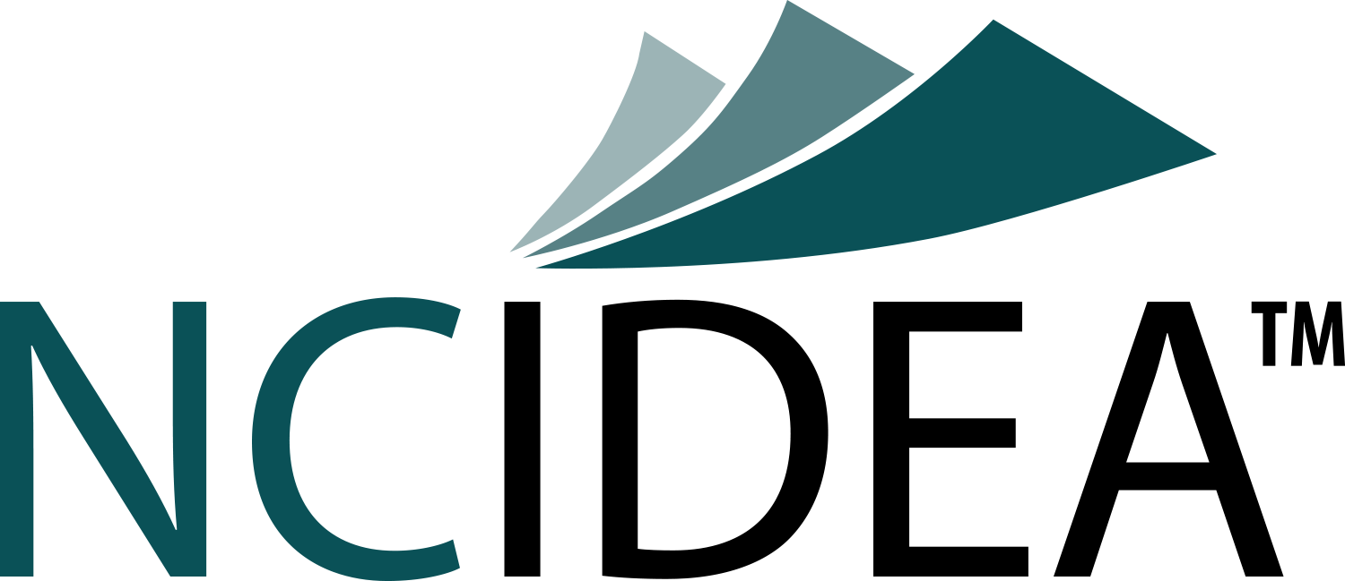 NC Idea Logo