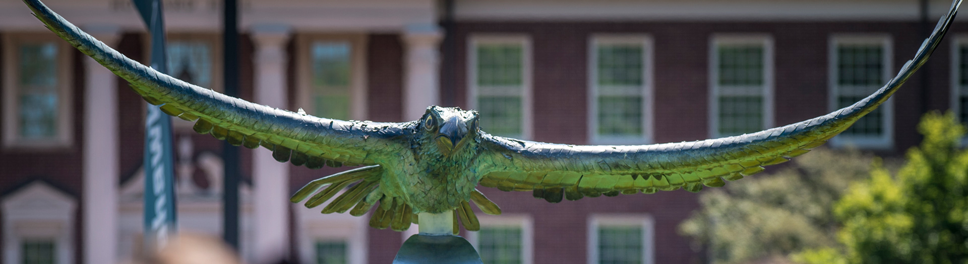 Seahawk statue on UNCW campus
