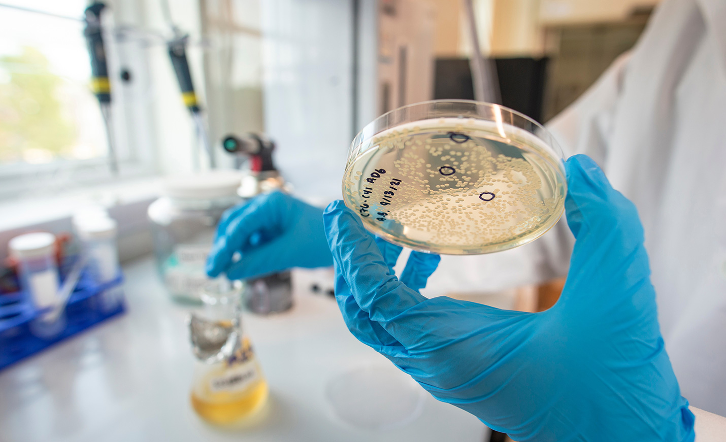 Petri dish