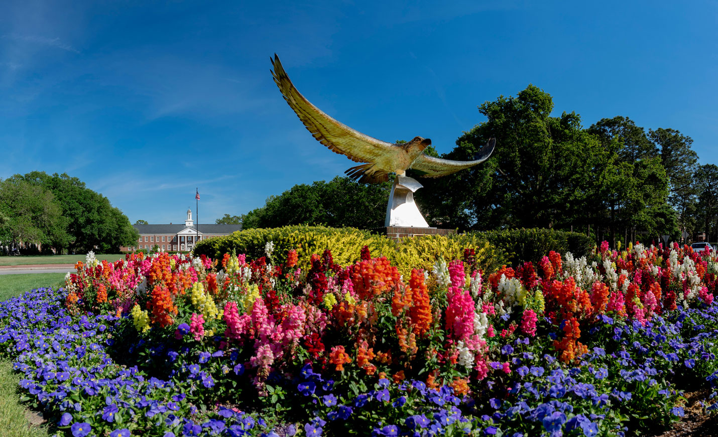 Seahawk Statue surrounded by spring flowers