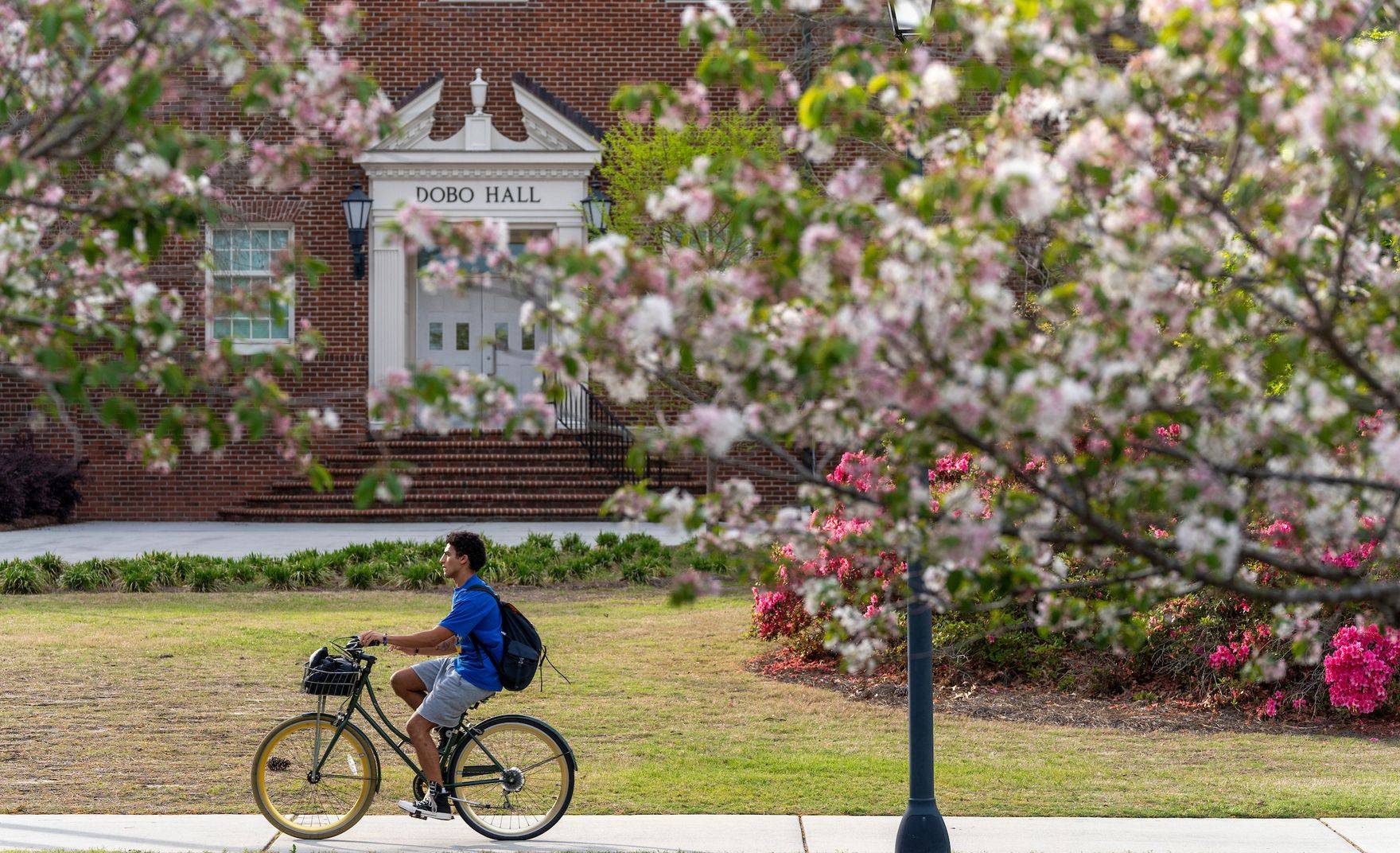 A student riding a bike on campus while trees bloom around him