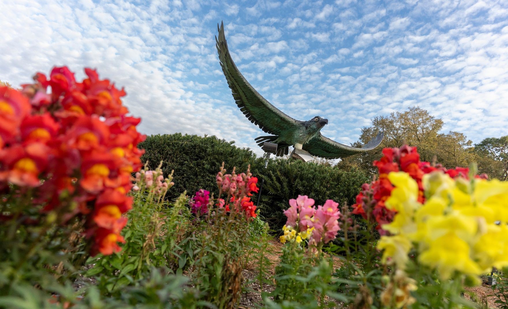 A view from below of the Soaring Seahawk sculpture with colorful flowers blooming at its base