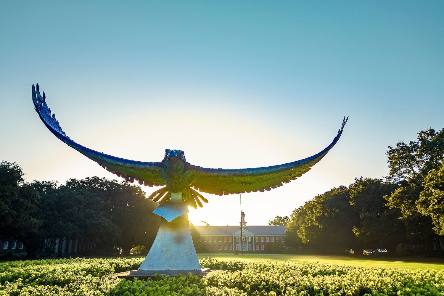 Soaring Seahawk statue with the sun rising over Hoggard Hall