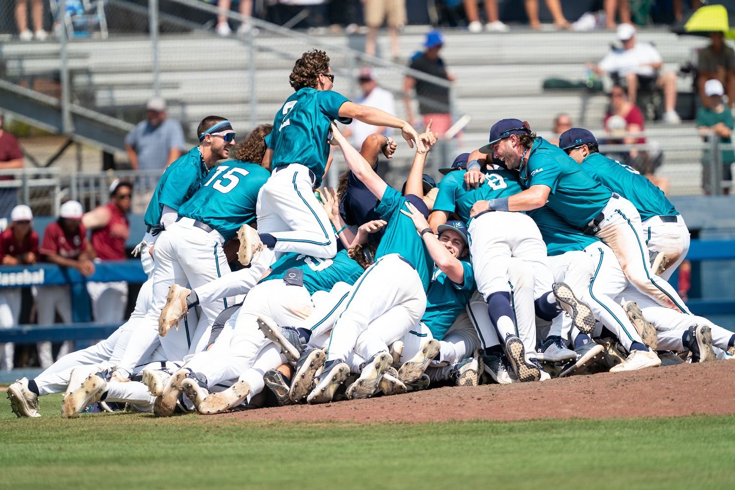 UNCW baseball players celebrate at the end of the CAA championship-winning game