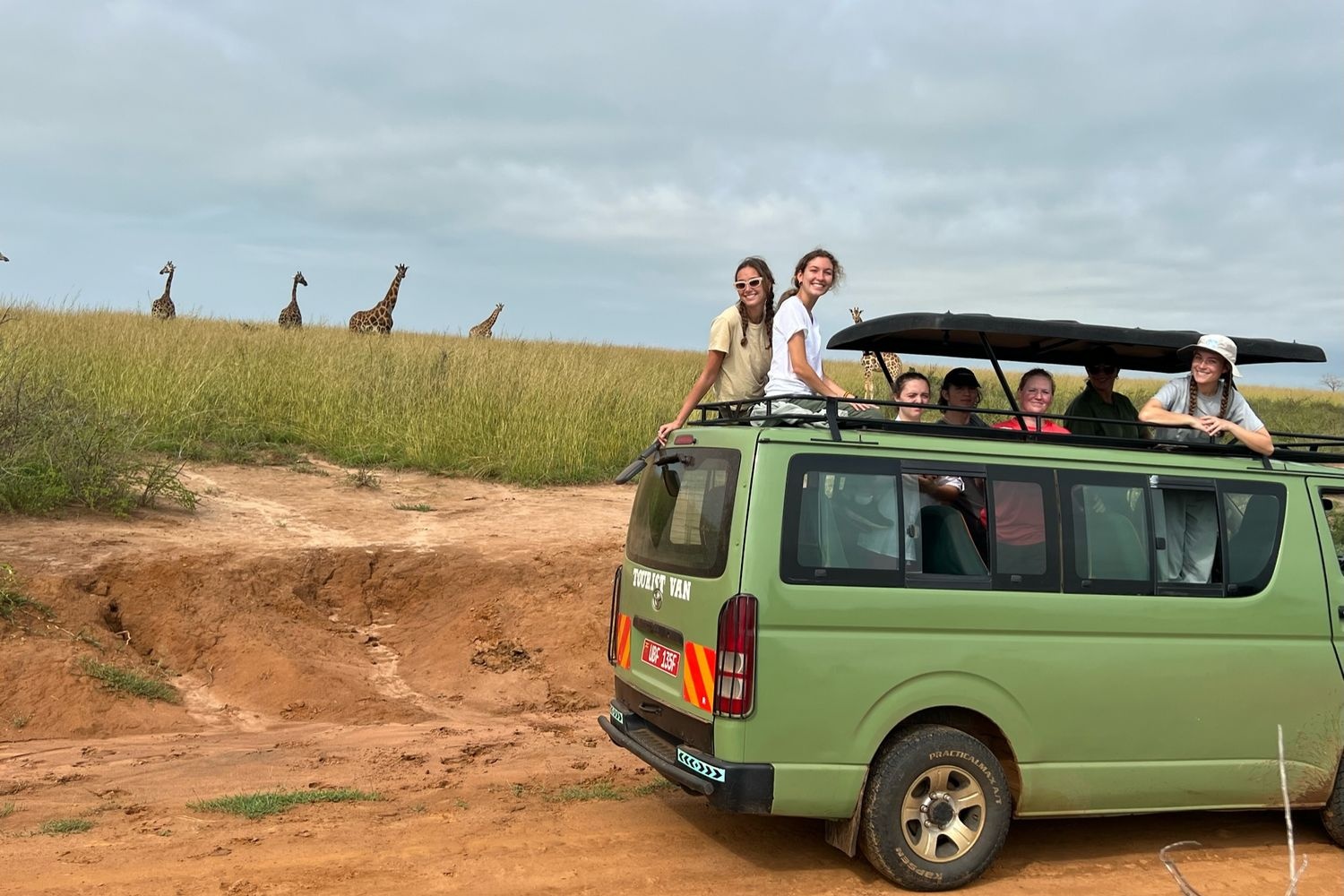 Students in the public health program go on a safari and view a herd of giraffe.