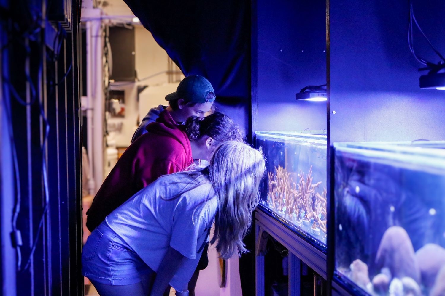 MarineQuest students learn about coral in UNCW coral reef lab