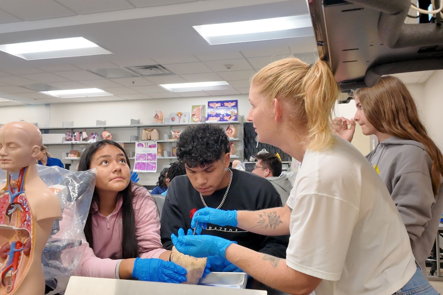 Students dissecting a pig's heart during Saturday programming