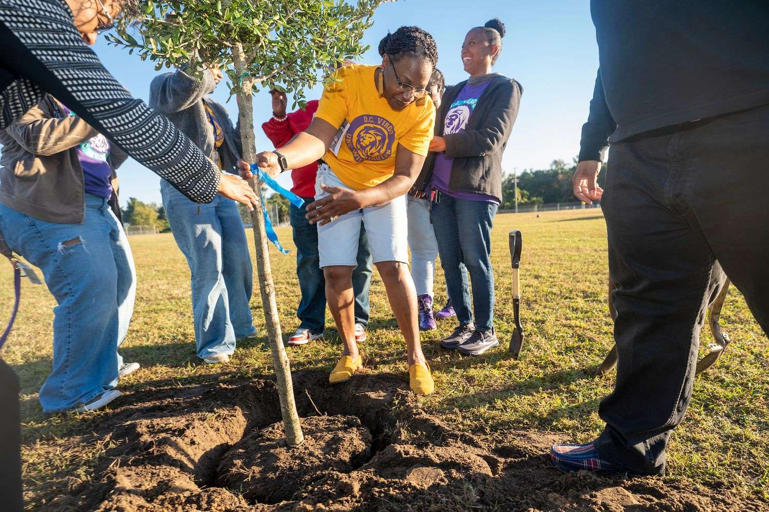 Tree planting ceremony