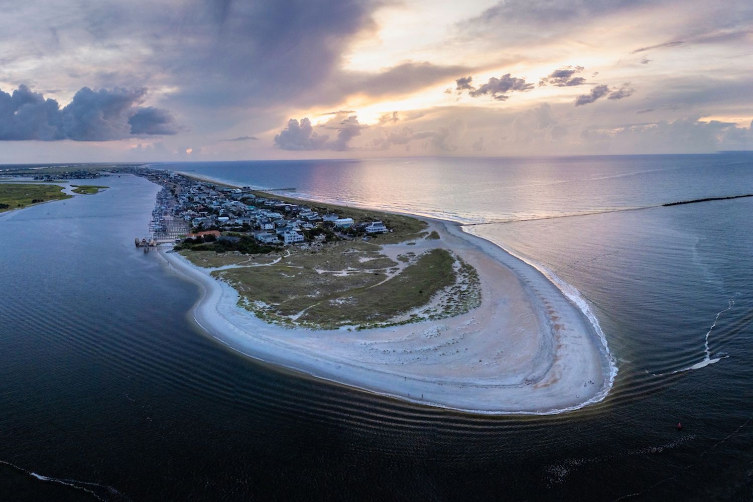 UNCW Statue in the Spring