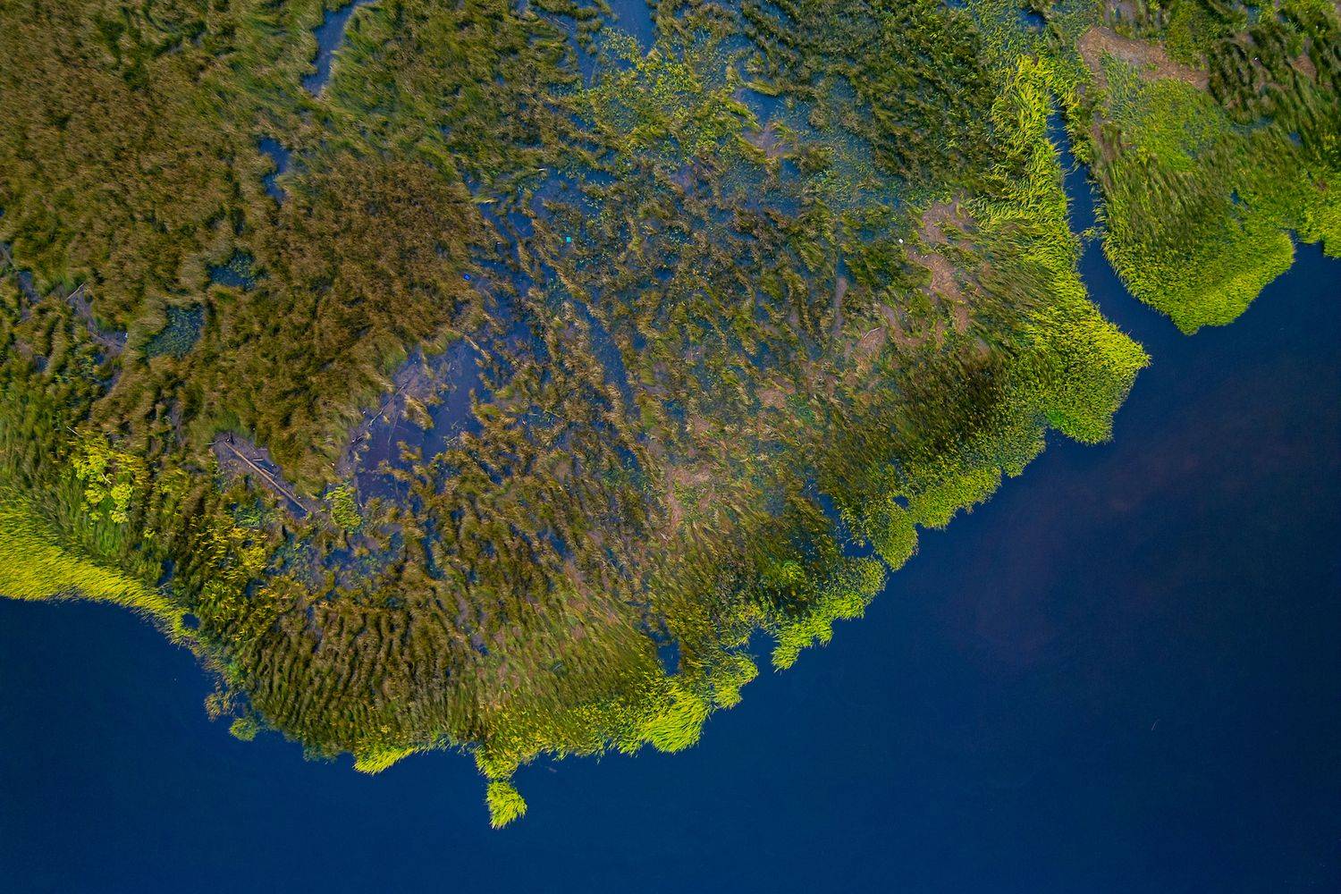 Aerial image of the Cape Fear River.