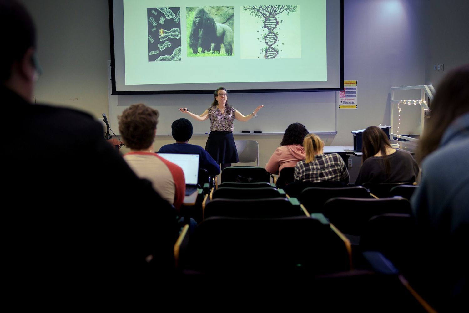 Michaela Howells, an associate professor for Anthropology, speaking at an event