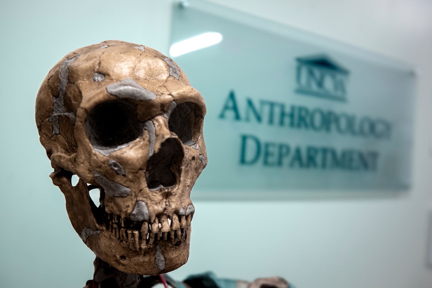 Anthropology specimens at an open house