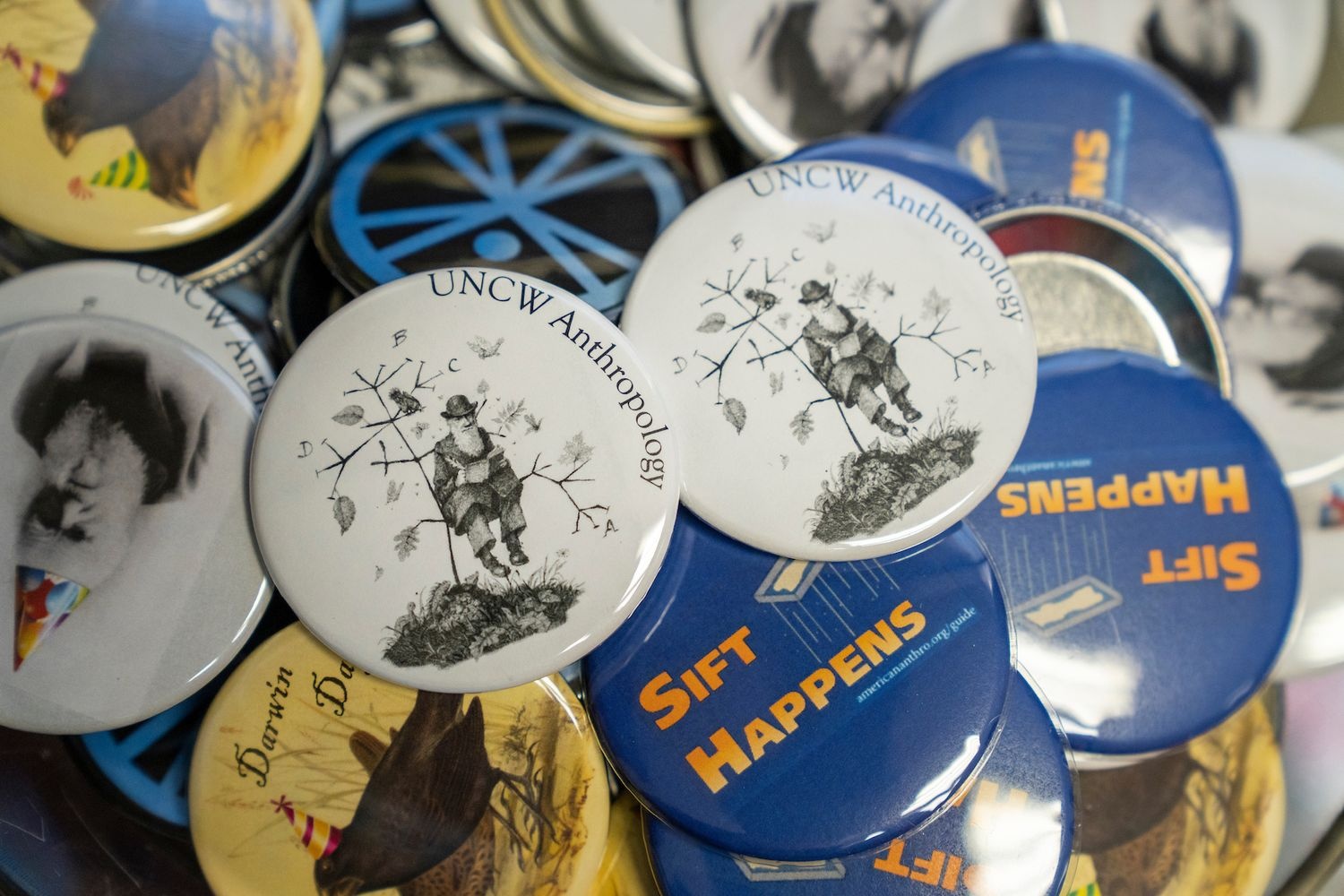 Different Anthropology pins on a table