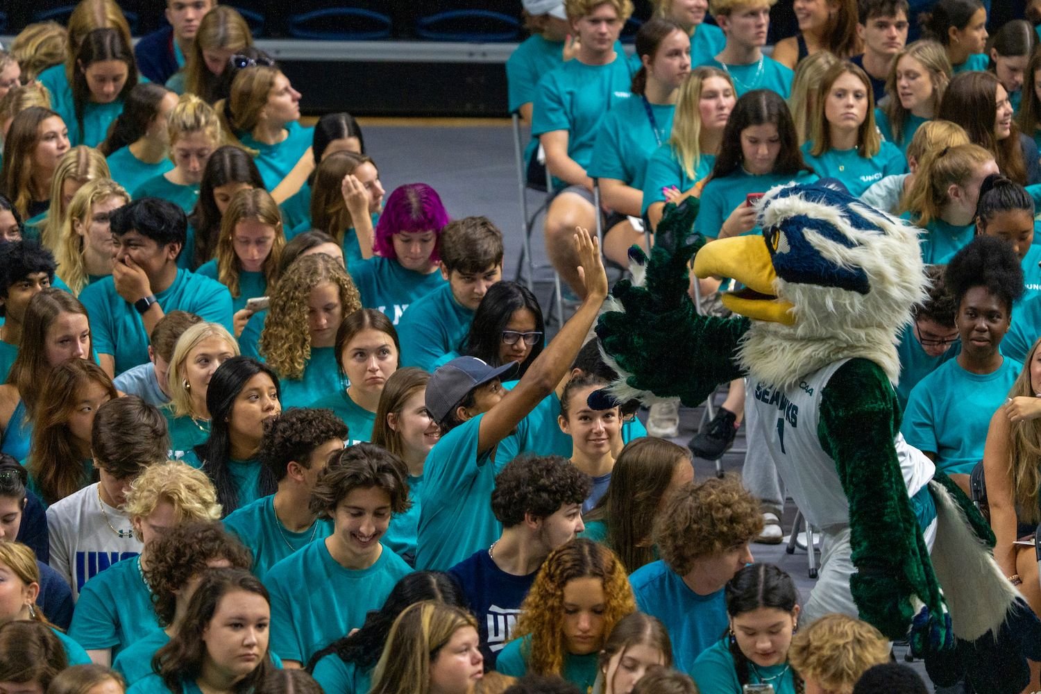 Sammy Seahawk mascot high fives a student amongst a crowd of students dressed in teal shirts at Convocation.