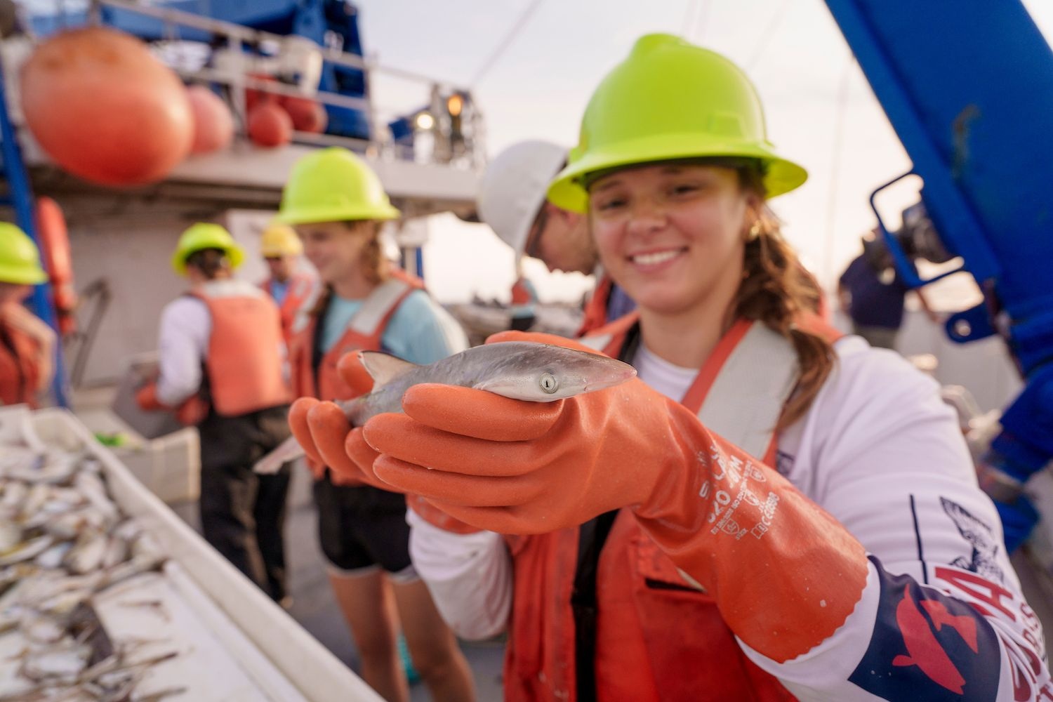 A student in safety gear and a hard hat smiles while holding up a fish. In the background, similarly dressed students and researchers conduct research on a UNCW vessel.