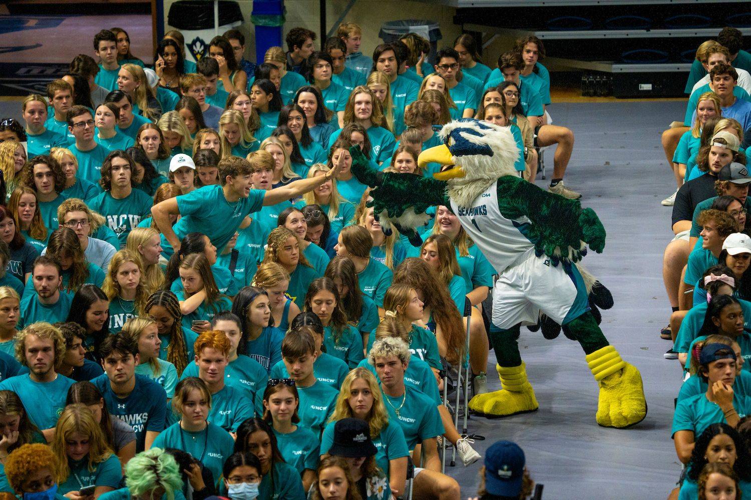 Freshman Convocation students high fiving Sammy Seahawk