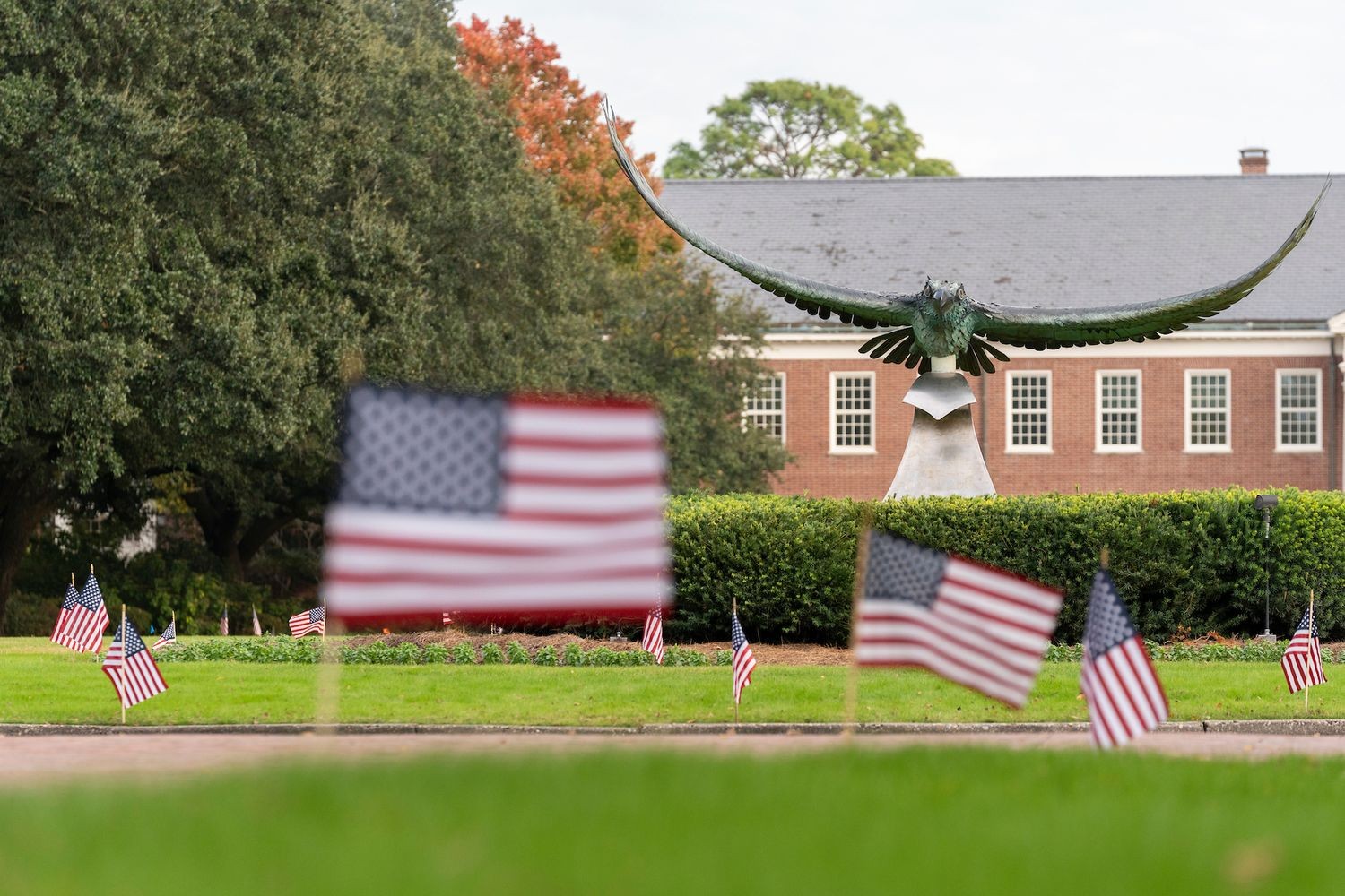 flags for uncw veterans