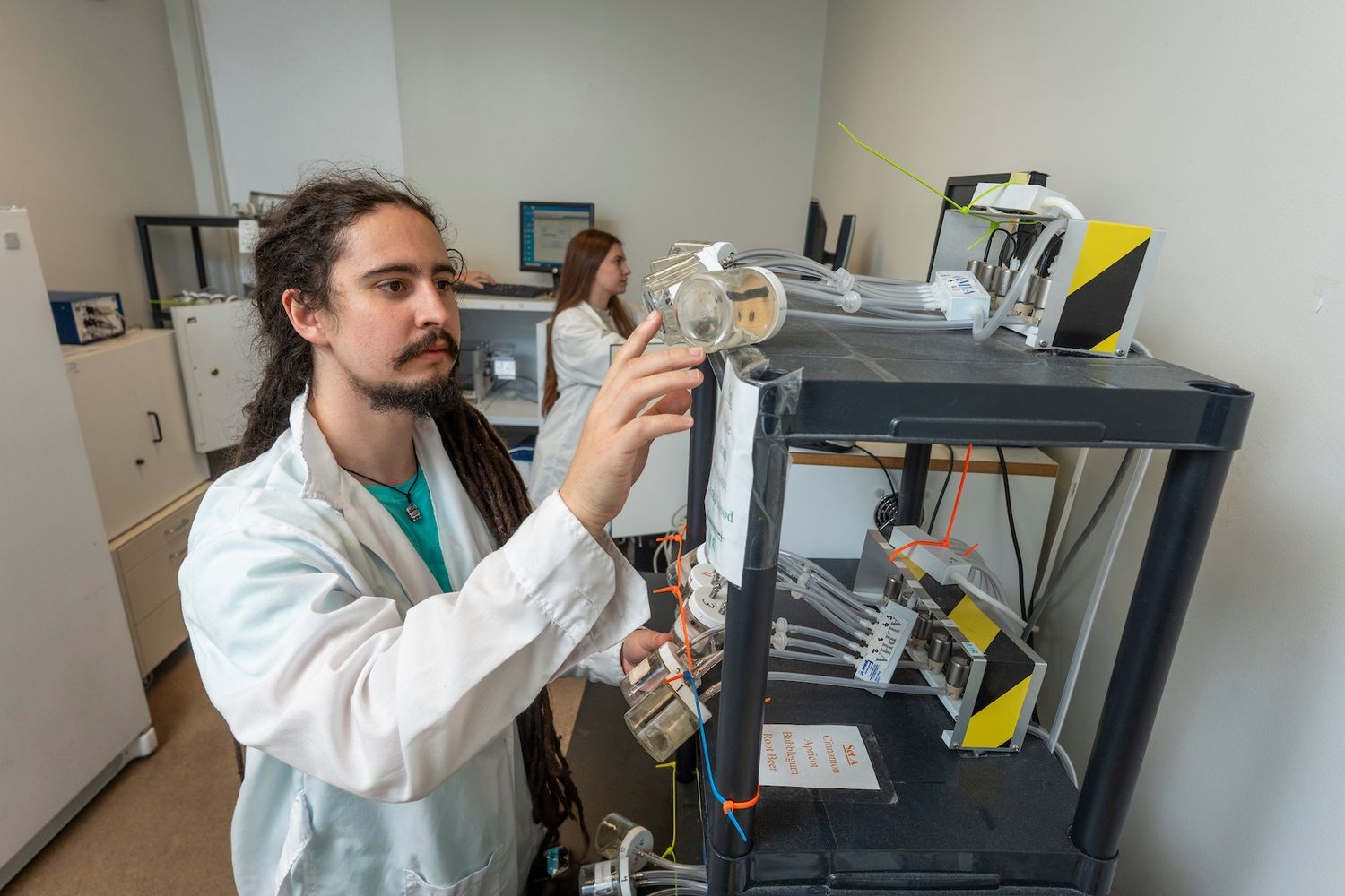 students study Animal behavior and comparative cognition in the Teaching Lab.