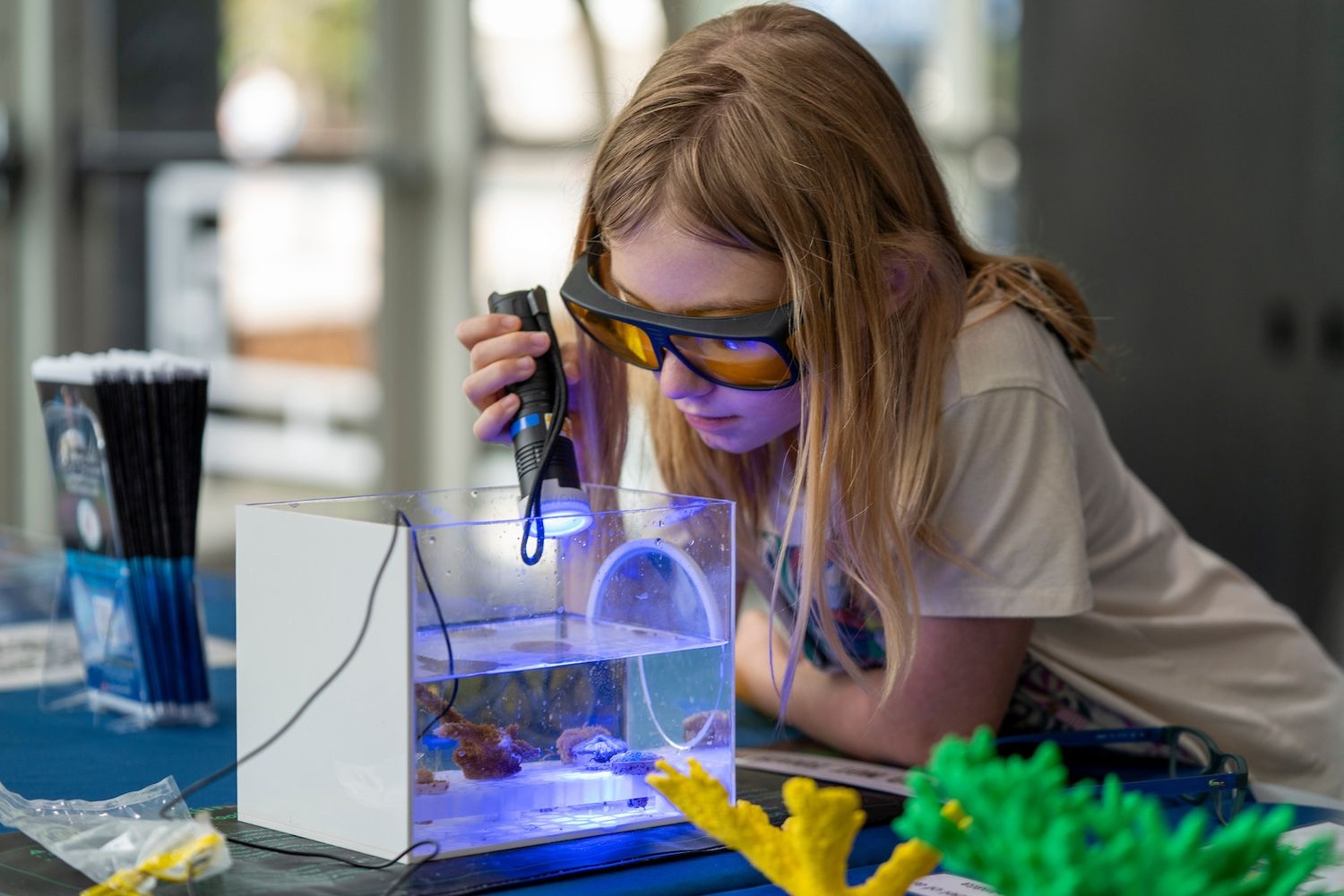 Youth using a UV light on marine organisms