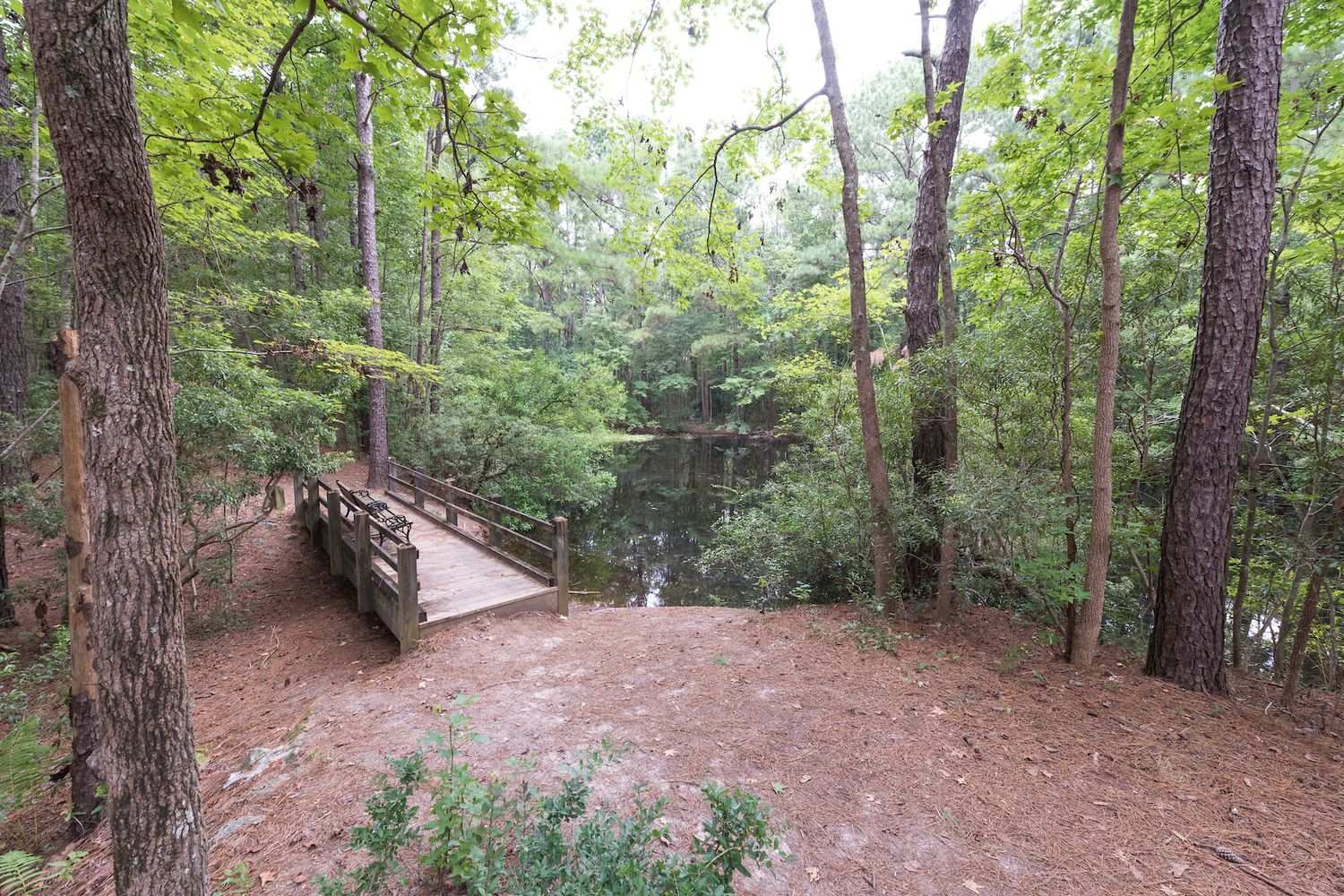 Nature preserve on UNCW campus hosts an outdoor classroom, bridge, and pond