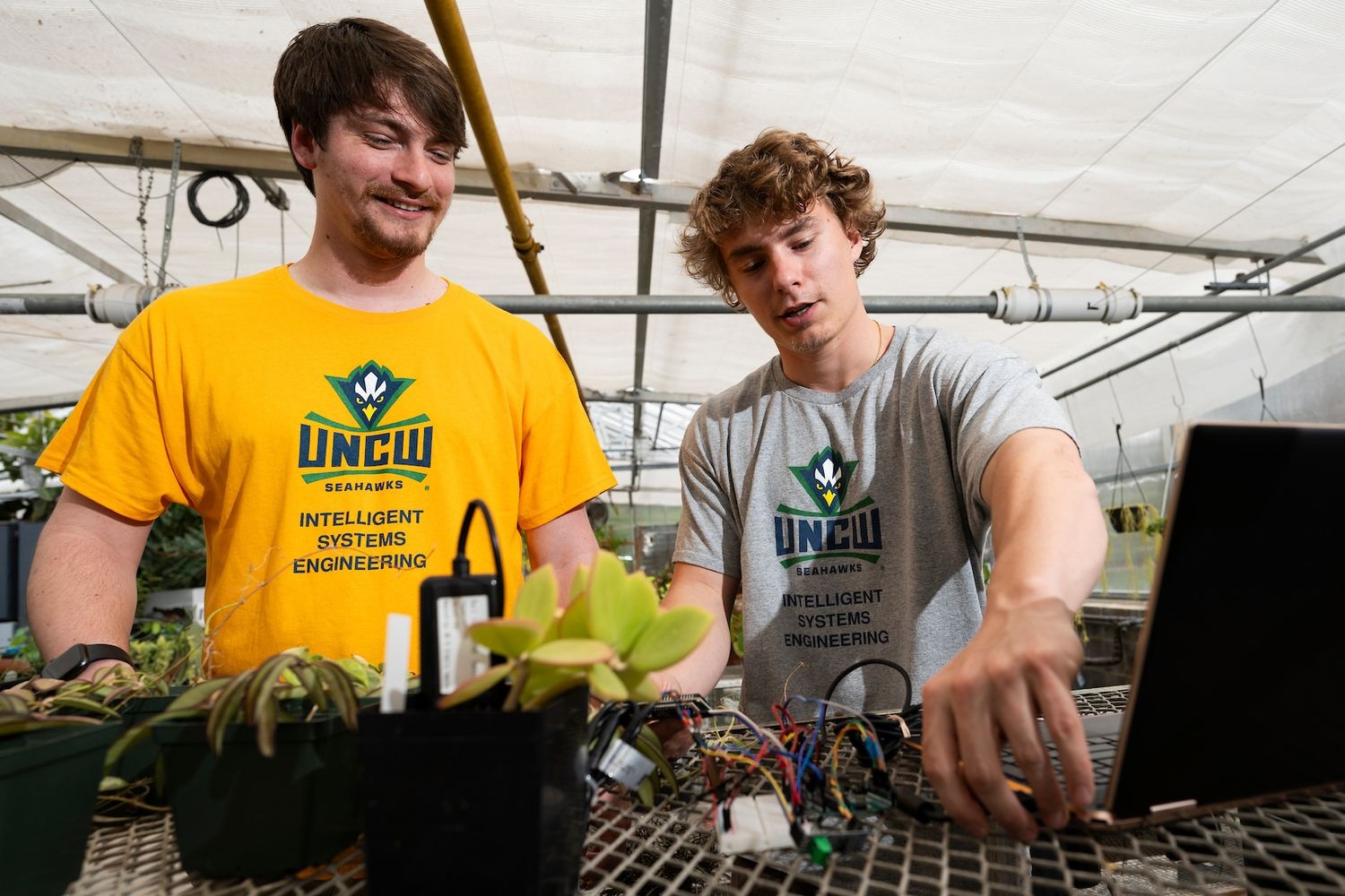 Intelligent Systems Engineering students working in the Kresge