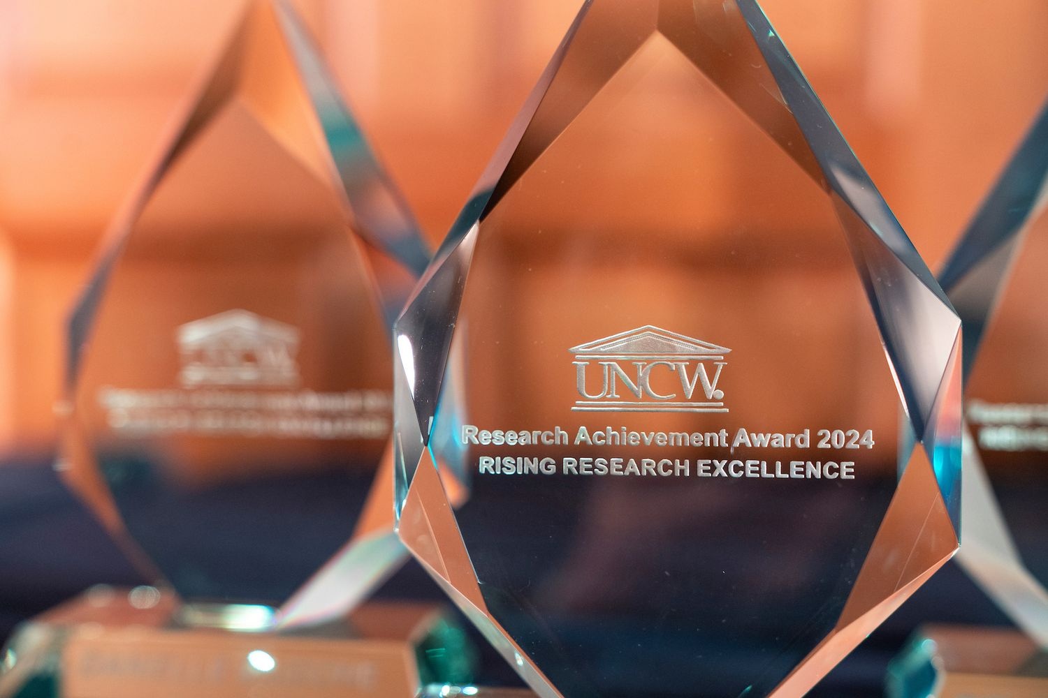 Research and Innovation Research Award