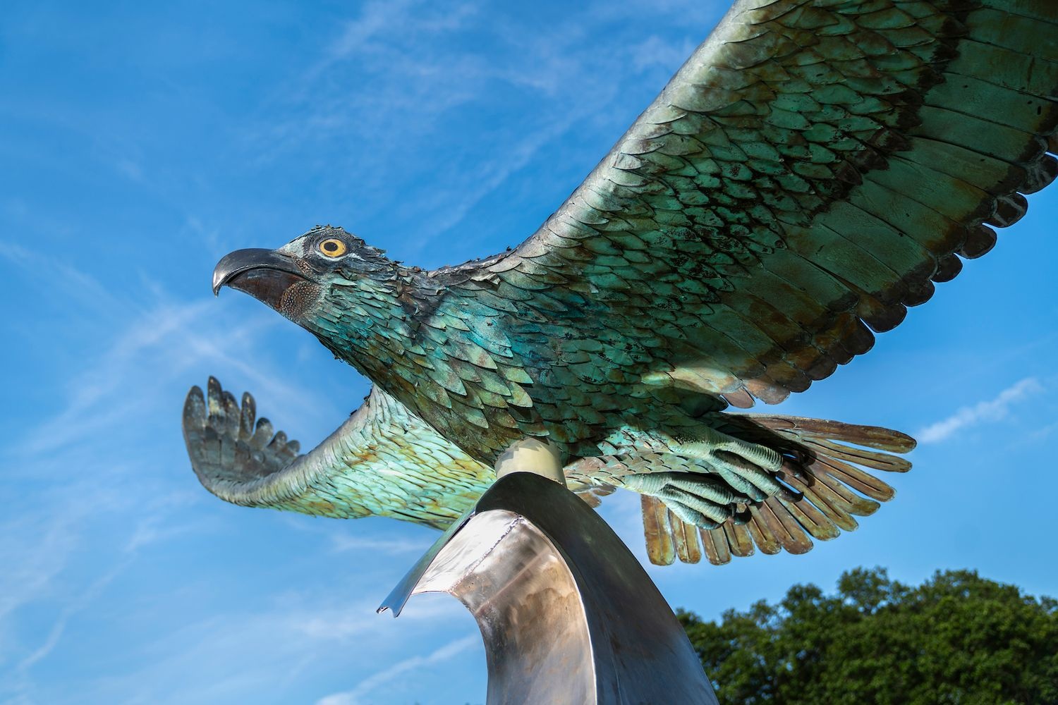 Student showing two thumbs up