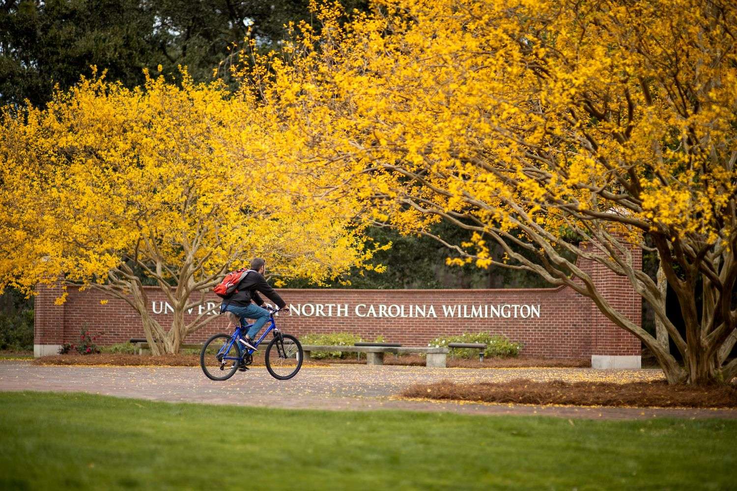Students riding bikes in front of UNCW sign