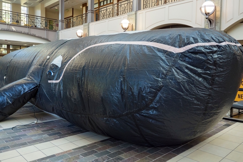 WATSON THE WHALE