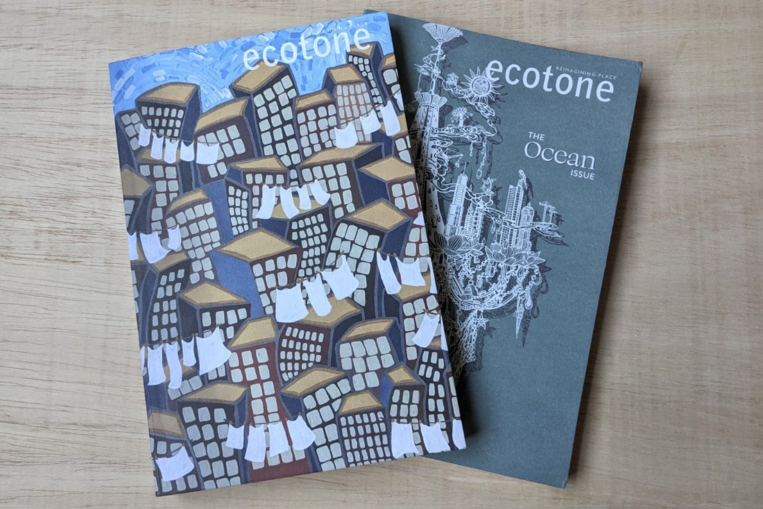 Ecotone, UNCW’s national literary magazine, is one of five finalists for the Council of Literary Magazines and Presses Firecracker Awards. It’s nominated in the category of “Magazines, General Excellence.”
