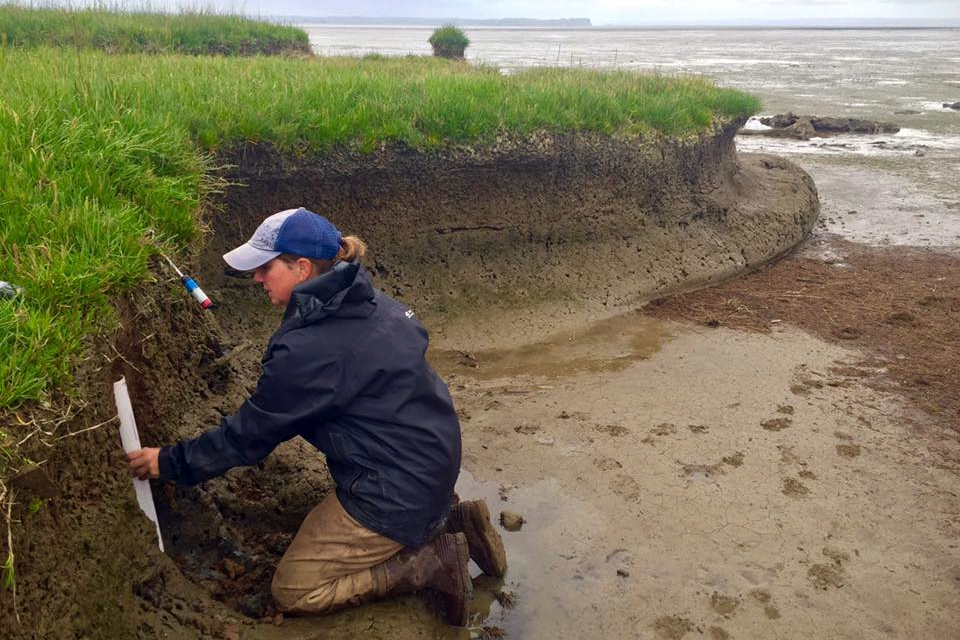 Andrea Hawkes, UNCW professor of earth and ocean sciences, taking paleoearthquake samples along Washington's coast.