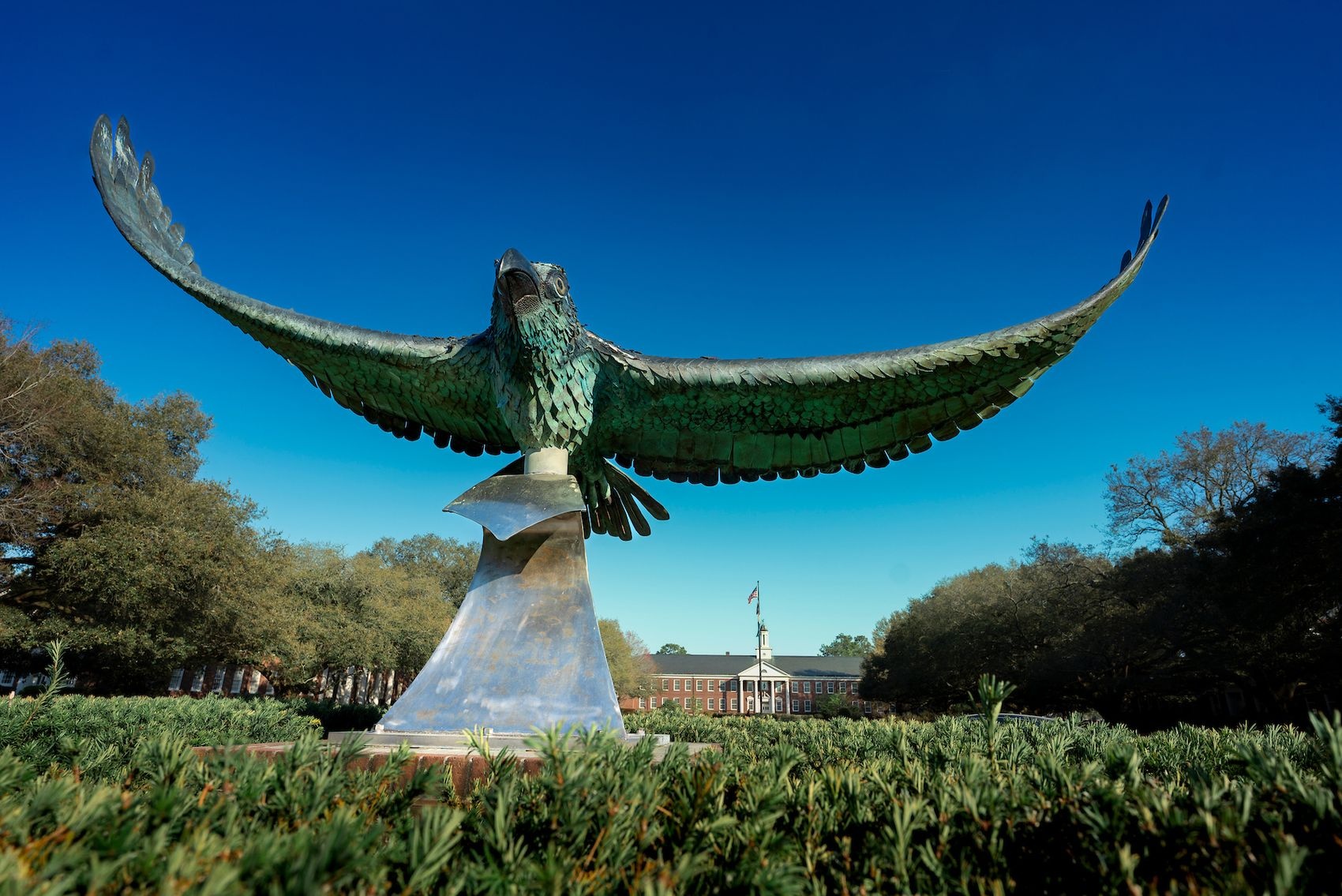 Soaring Seahawk sculpture in the middle of the Wagoner Drive traffic circle