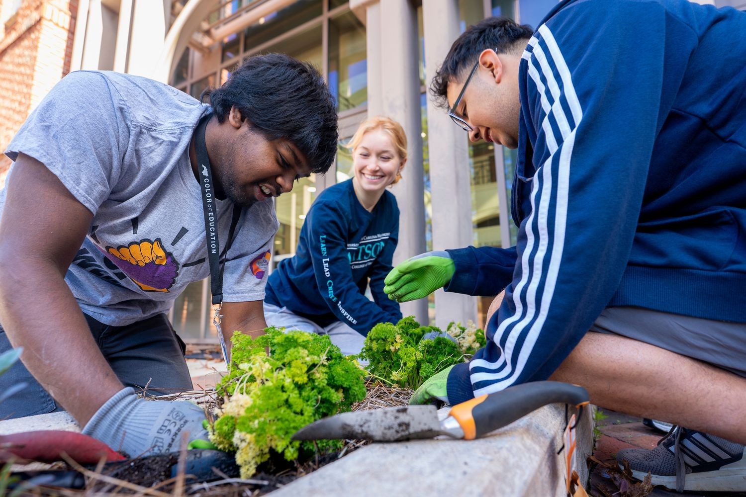 Students transplant herbs in Watson College's new Ability Garden.
