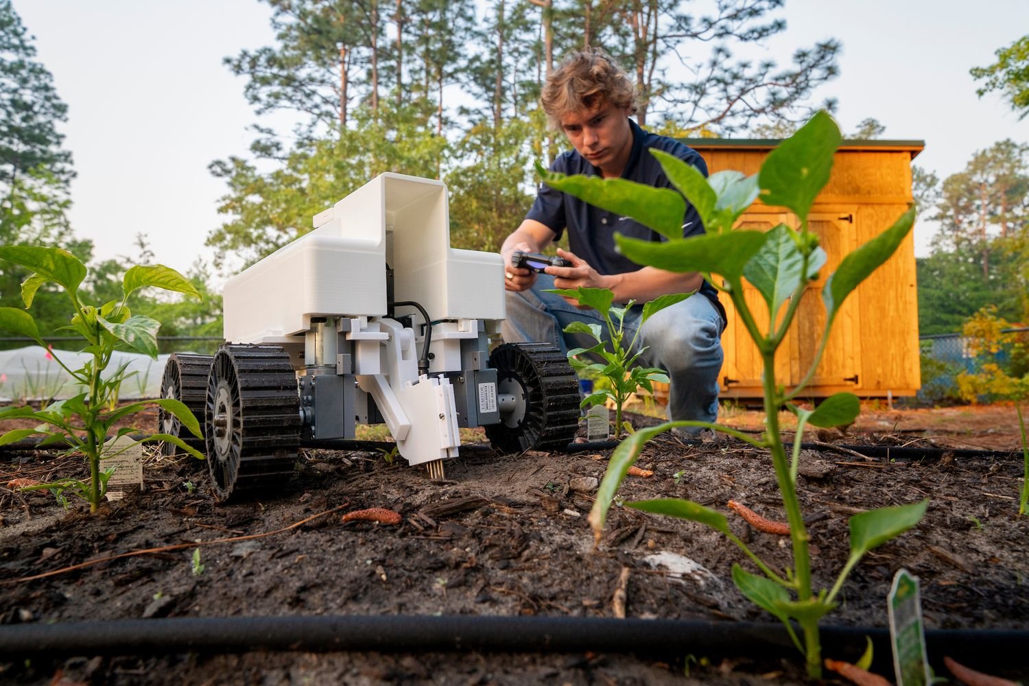 Student researcher uses remote control to operate a farm robot in garden soil.