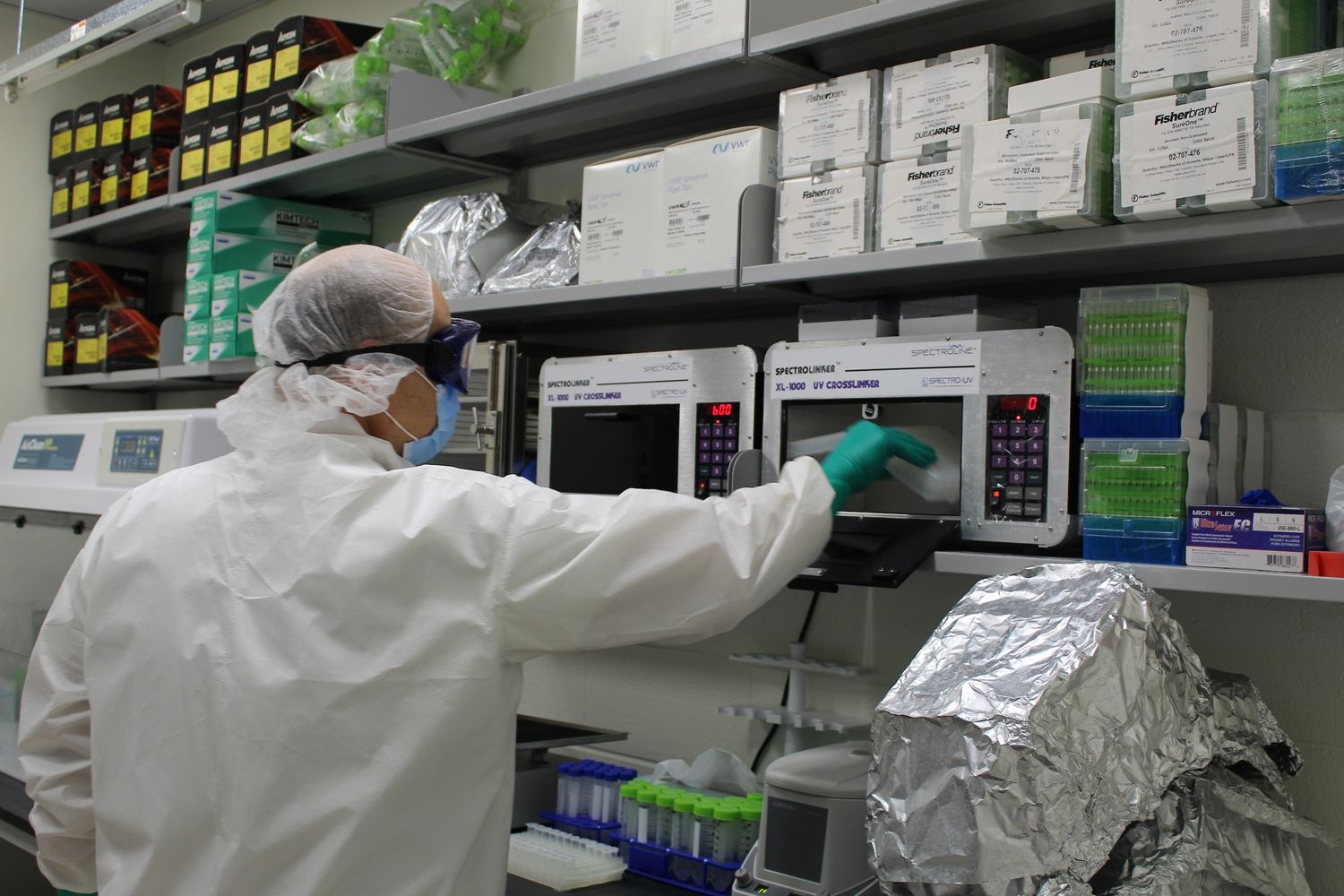 Leland Rogers works in the new Rogers Ancient DNA Laboratory on UNCW's campus