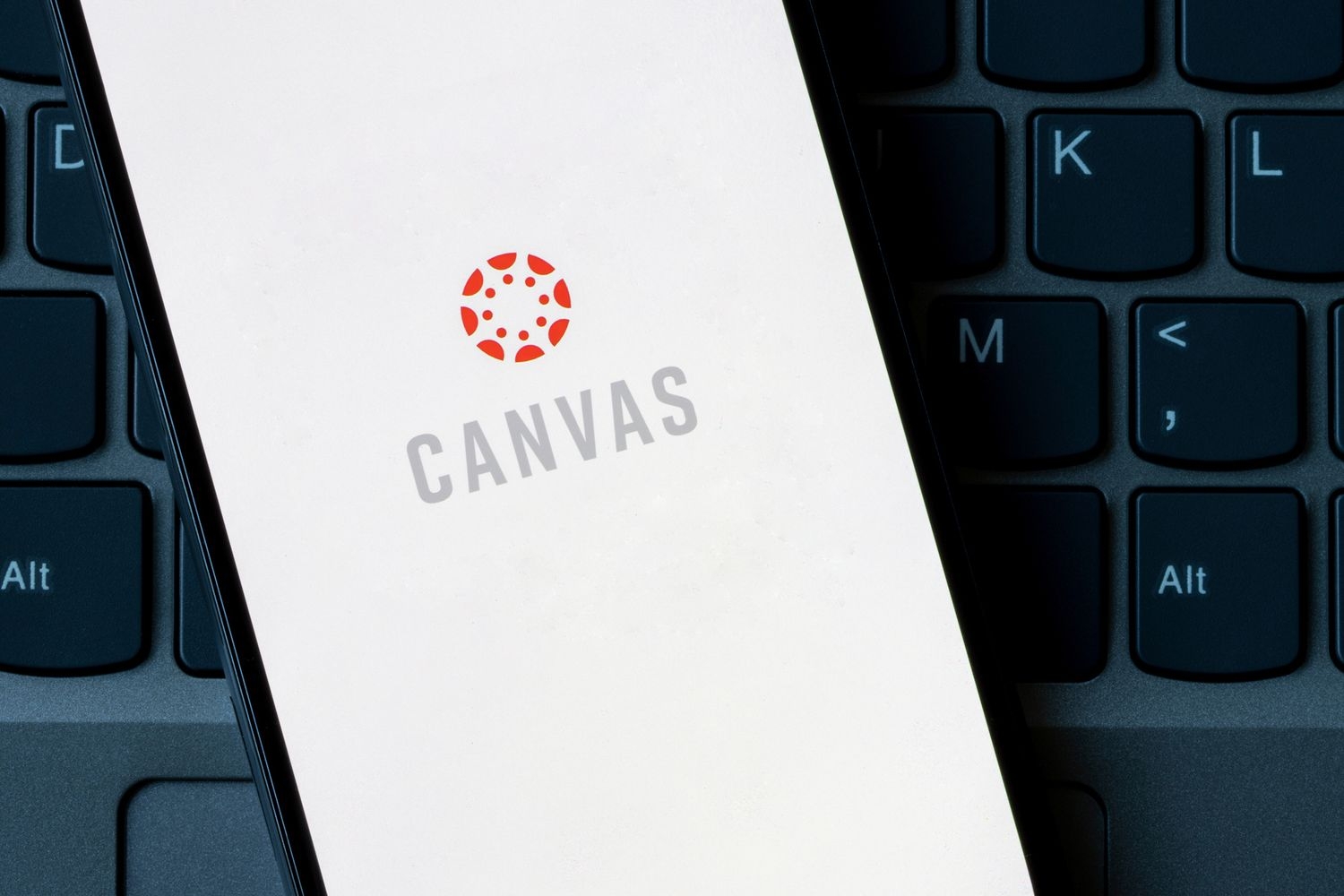 Tada Images/stock.adobe.com