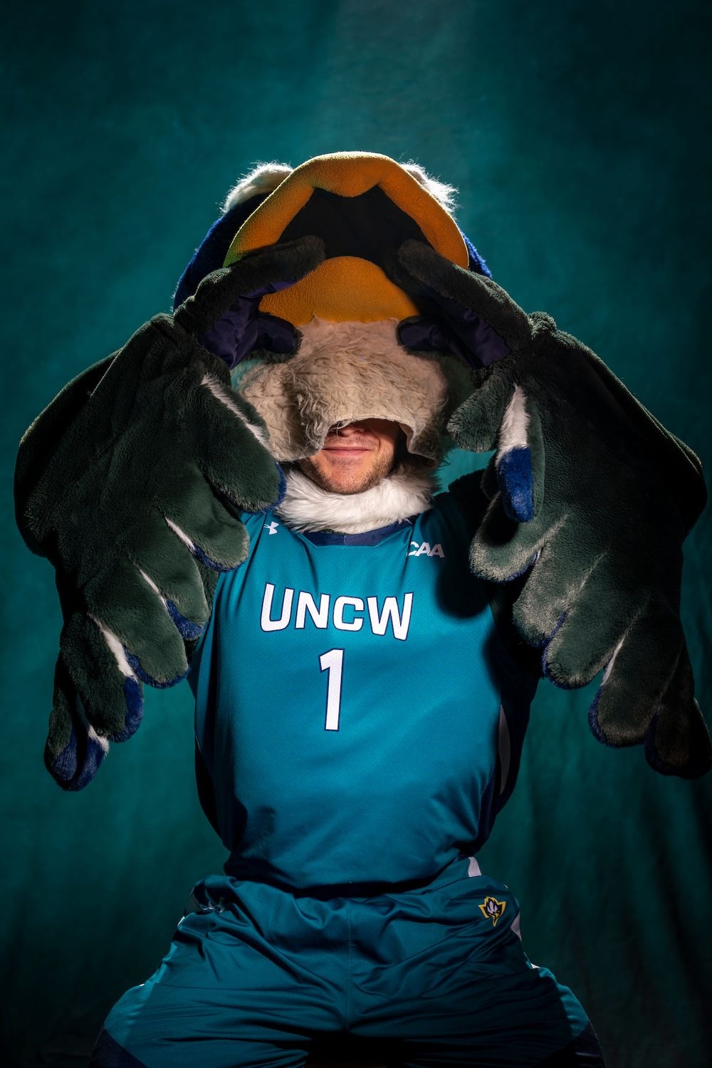 Secret Seahawk