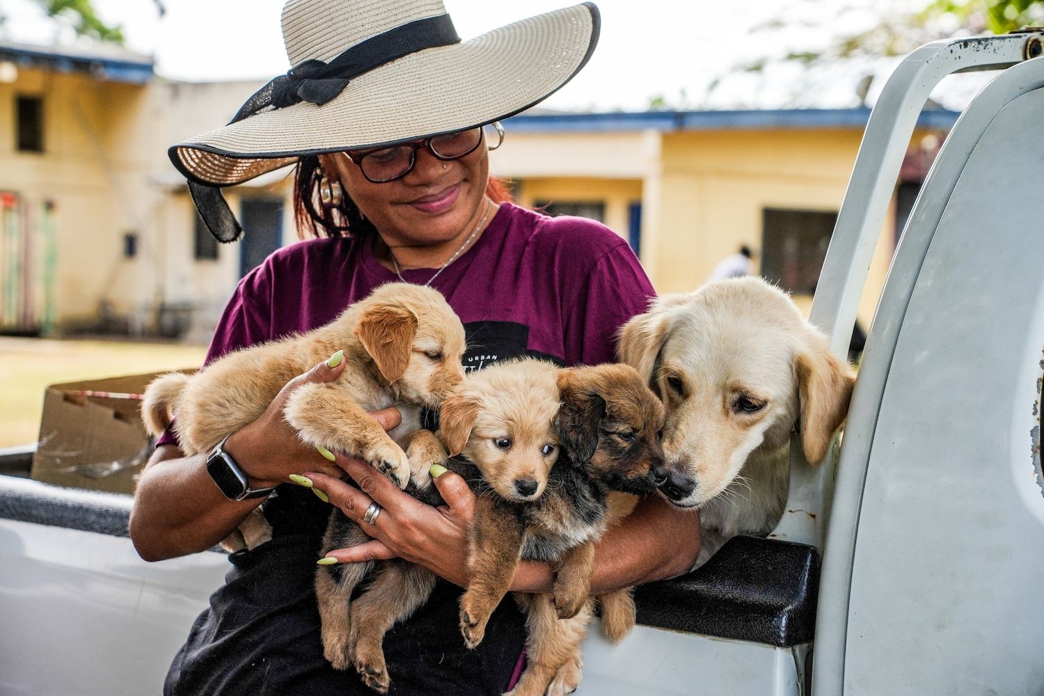 A woman in a hat with her arms full of puppies.
