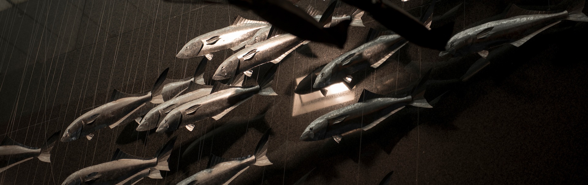 Metal bluefish art in the CMS lobby