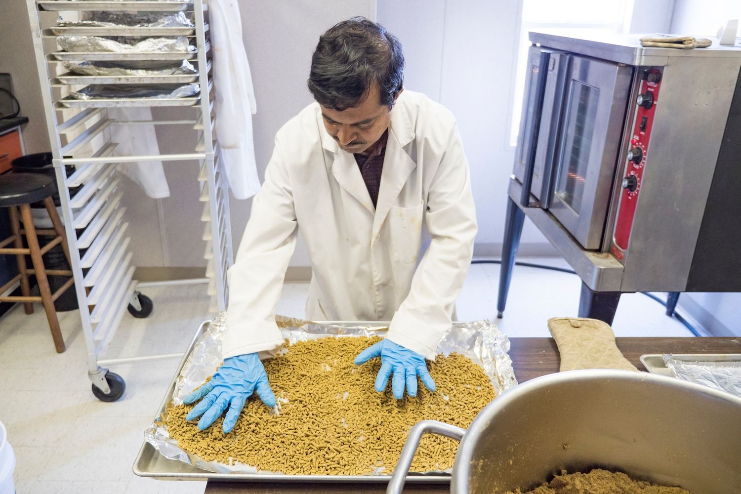 Dr. Md Shah Alam preparing food for black sea bass