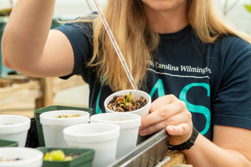 student waters a Venus flytrap with a syringe