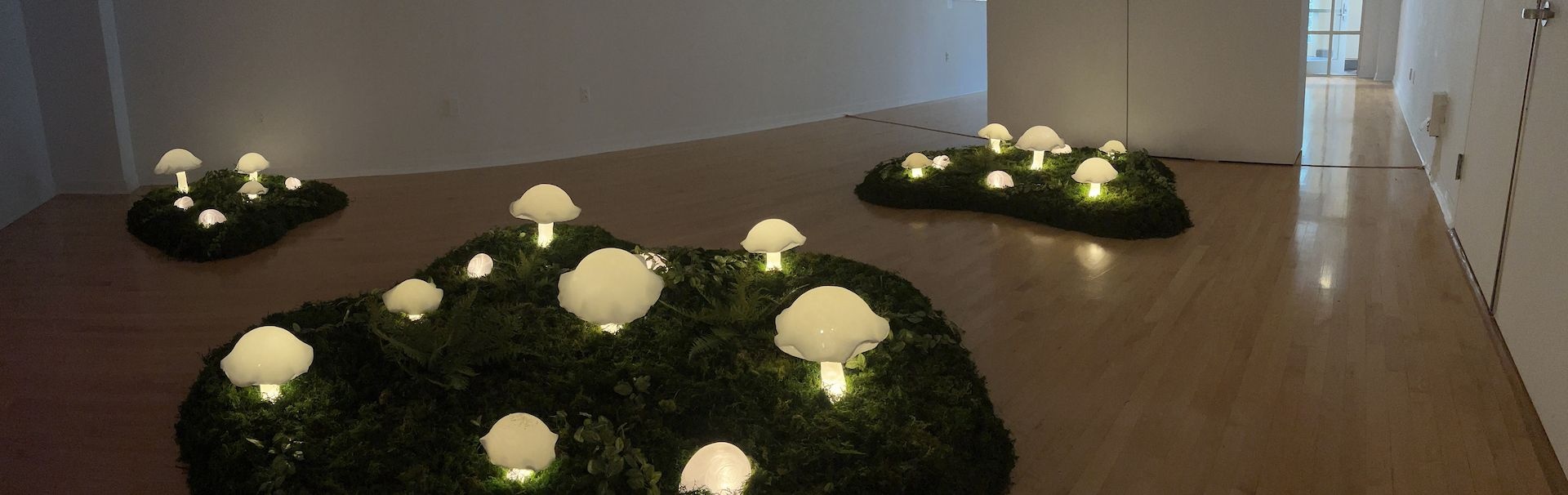 Glowing mushrooms on the floor of a gallery