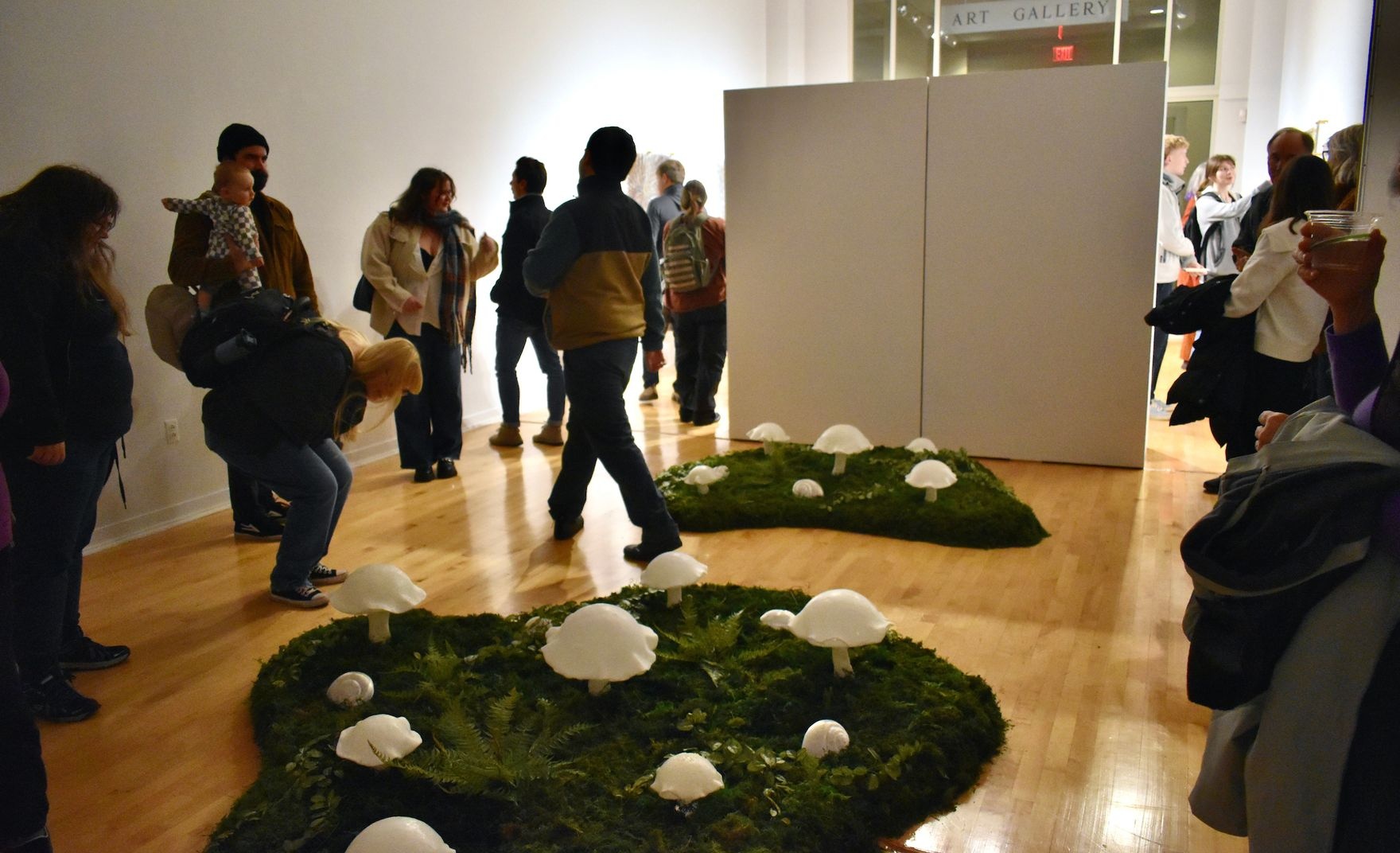 Mushroom exhibit on floor in an art gallery
