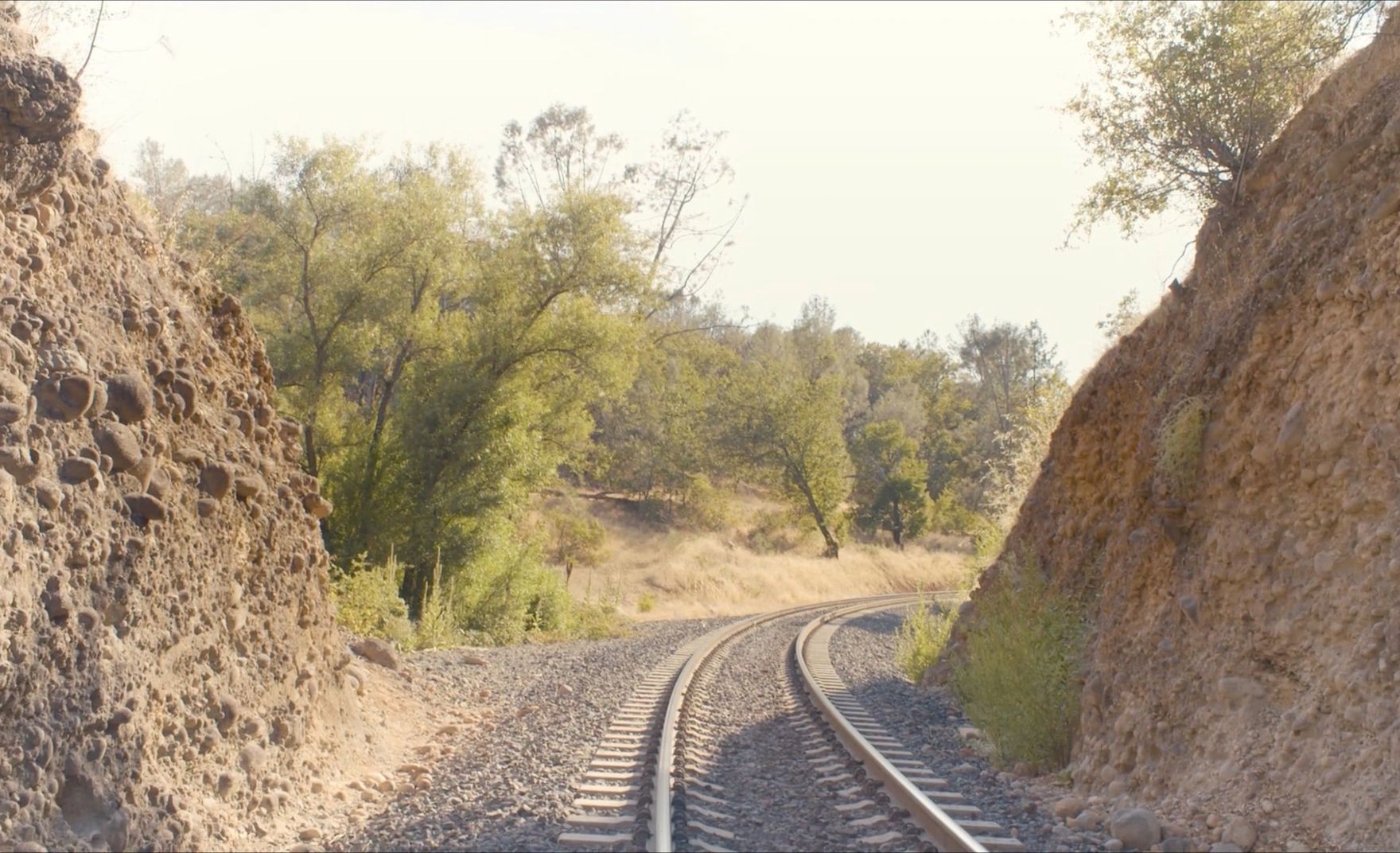 Train track going through a forest