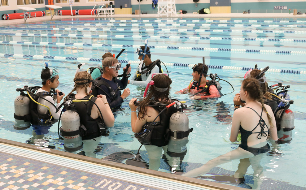 students learning to scuba dive in pool